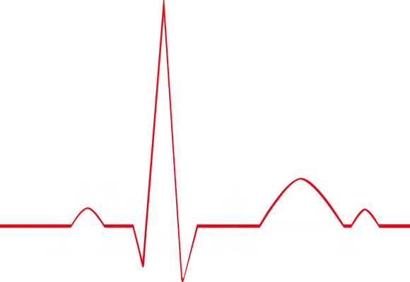 AktiVita Quedlinburg Logo